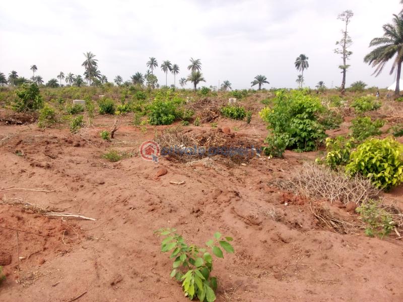 Mixed use Land For Sale Halleluyah Gardens Estate Selling On Promo Epe Lagos - 0
