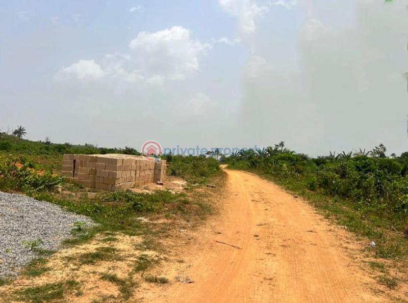 Commercial Property For Sale Cocoa Farm Estate In Oou Road, Ago Iwoye, Ogun area  - 1