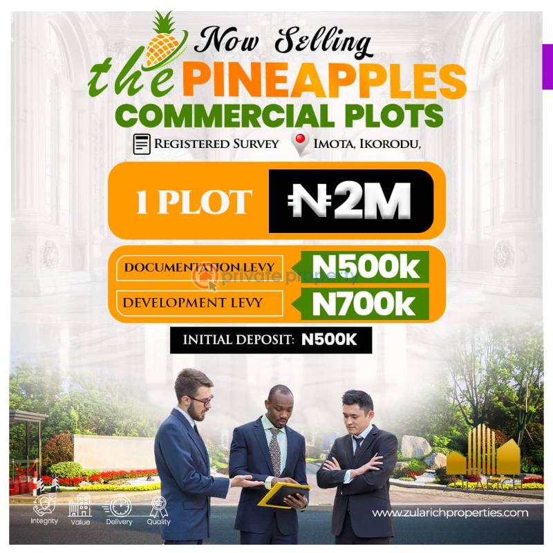 Commercial Land For Sale The Pineapples Estate Agbowa Ikorodu Ogun Ogun area  - 8