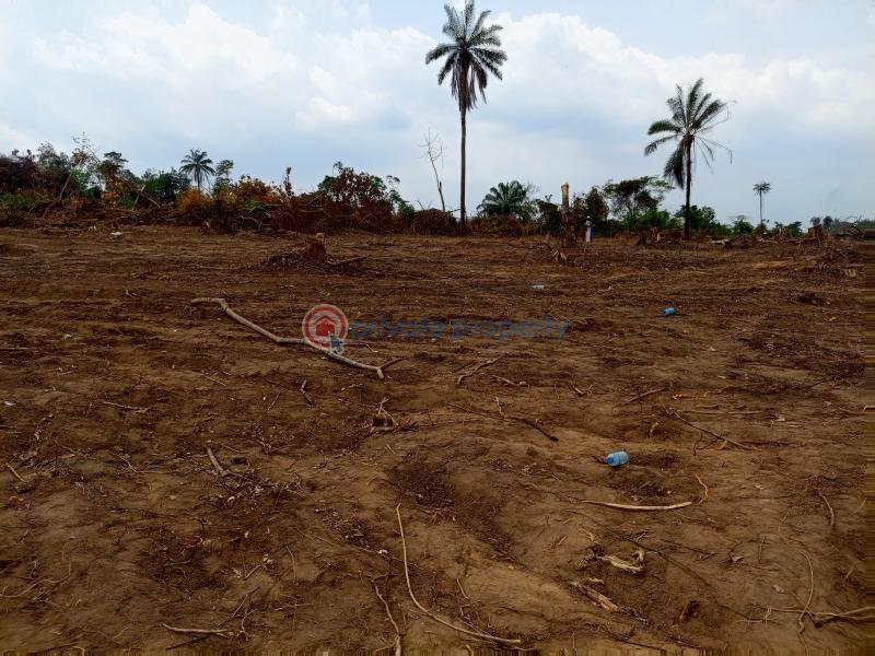 Acres of dry land for sale in imota ikorodu - 2 Residential Land For Sale Ibile City & Resort Imota Ikorodu Ogun area  - 2