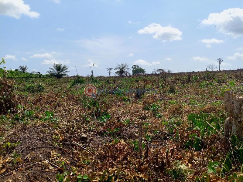 Acres of dry land for sale in imota ikorodu - 1 Residential Land For Sale Ibile City & Resort Imota Ikorodu Ogun area  - 1