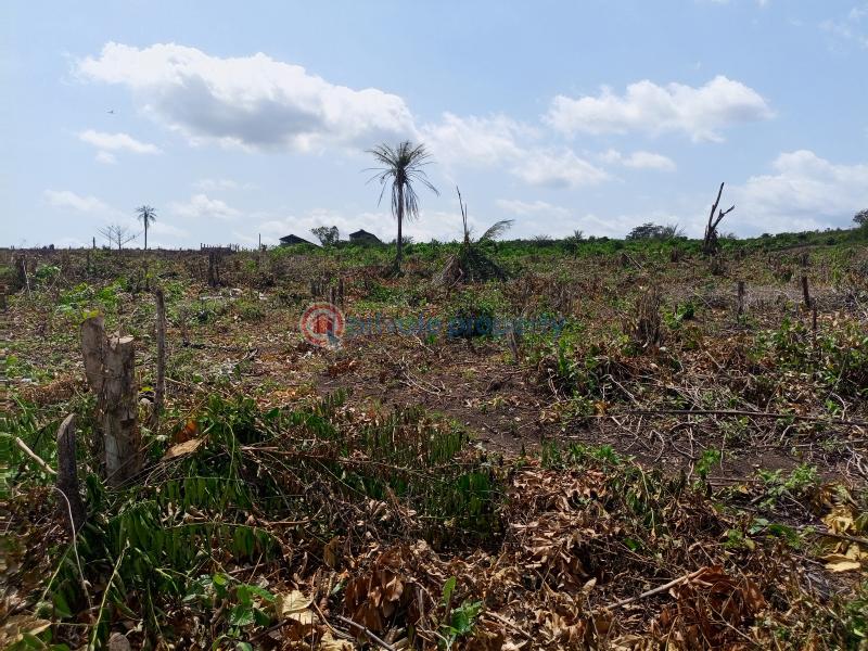Residential Land For Sale Ibile City & Resort Imota Ikorodu Ogun area  - 0