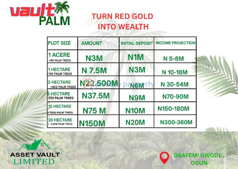 Mixed use Land For Sale Vault Palm Selling On Promo Price With 80 Palm Trees Located In Obafemi Owode Ogun - 1