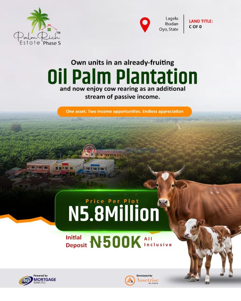 Commercial Land For Sale Palm Rich Estate Phase 5 Iwo Road Ibadan Oyo - 0