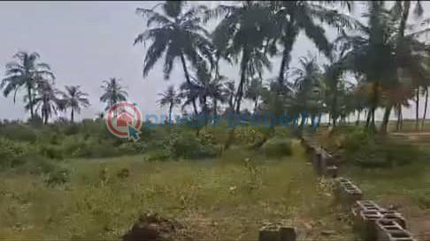 Land For Sale Ibeju Lekki Expressway Free Trade Zone Ibeju-Lekki Lagos - 0