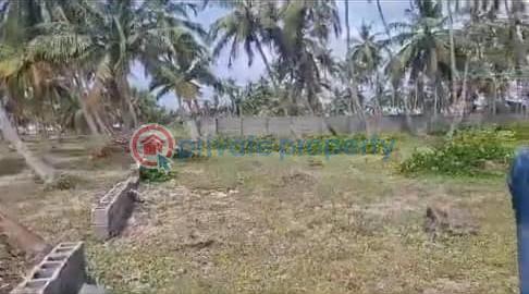 Land For Sale Ibeju Lekki Expressway Free Trade Zone Ibeju-Lekki Lagos - 1