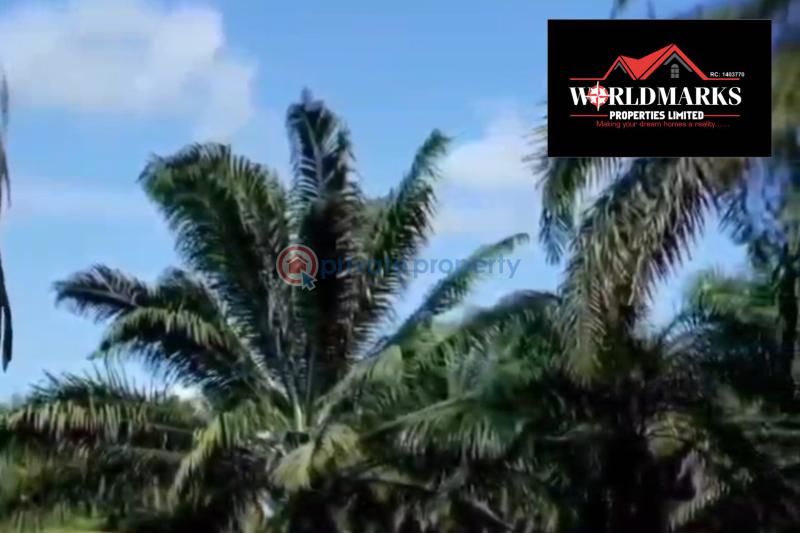Commercial Land For Sale Nova Palm City Imala Anigbado Abeokuta North Abeokuta Ogun - 8