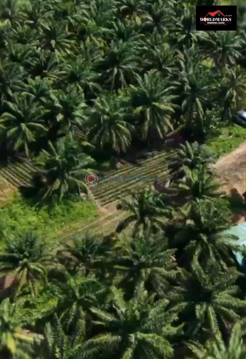 Commercial Land For Sale Nova Palm City Imala Anigbado Abeokuta North Abeokuta Ogun - 1