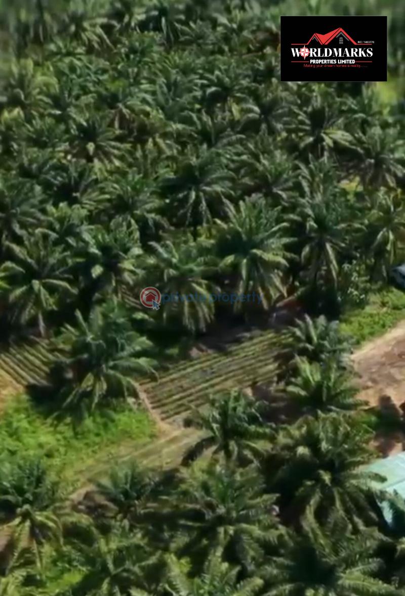 Commercial Land For Sale Nova Palm City Imala Anigbado Abeokuta North Abeokuta Ogun - 9