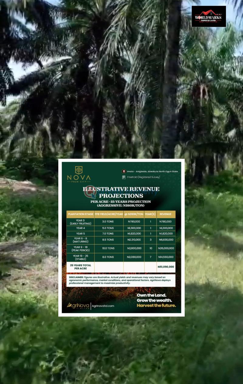 Commercial Land For Sale Nova Palm City Imala Anigbado Abeokuta North Abeokuta Ogun - 6