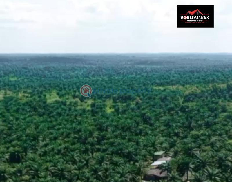 Commercial Land For Sale Nova Palm City Imala Anigbado Abeokuta North Abeokuta Ogun - 11