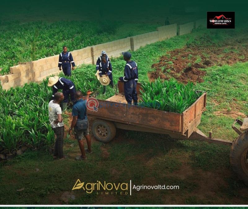 Commercial Land For Sale Nova Palm City Imala Anigbado Abeokuta North Abeokuta Ogun - 15