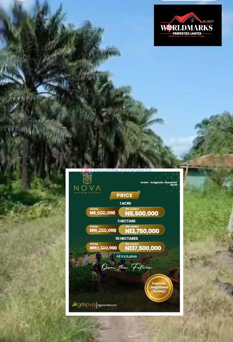 Commercial Land For Sale Nova Palm City Imala Anigbado Abeokuta North Abeokuta Ogun - 7