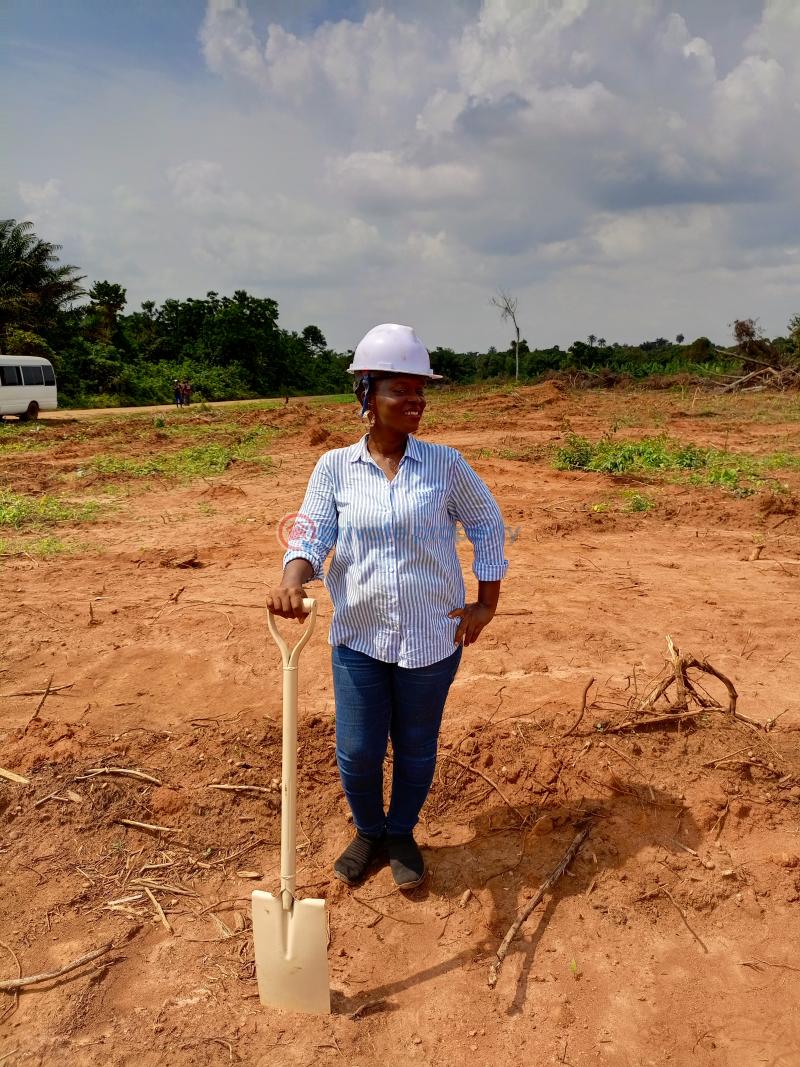 Commercial Land For Sale The Pineapples Estate Agbowa Ikorodu Ogun Ogun area  - 3