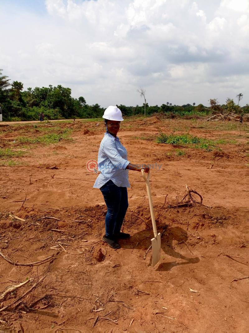 Commercial Land For Sale The Pineapples Estate Agbowa Ikorodu Ogun Ogun area  - 4