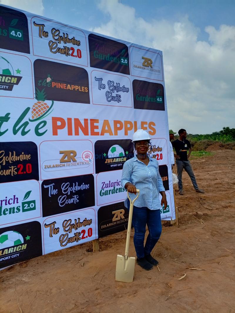 Commercial Land For Sale The Pineapples Estate Agbowa Ikorodu Ogun Ogun area  - 2