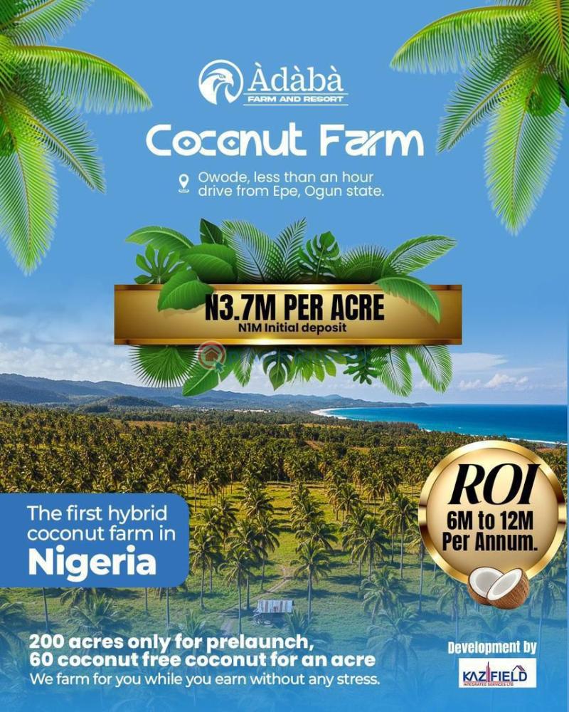 Residential Land For Sale Àdàbà Coconut Farm & Resort, Located In Owode, Obafemi Owode Ogun