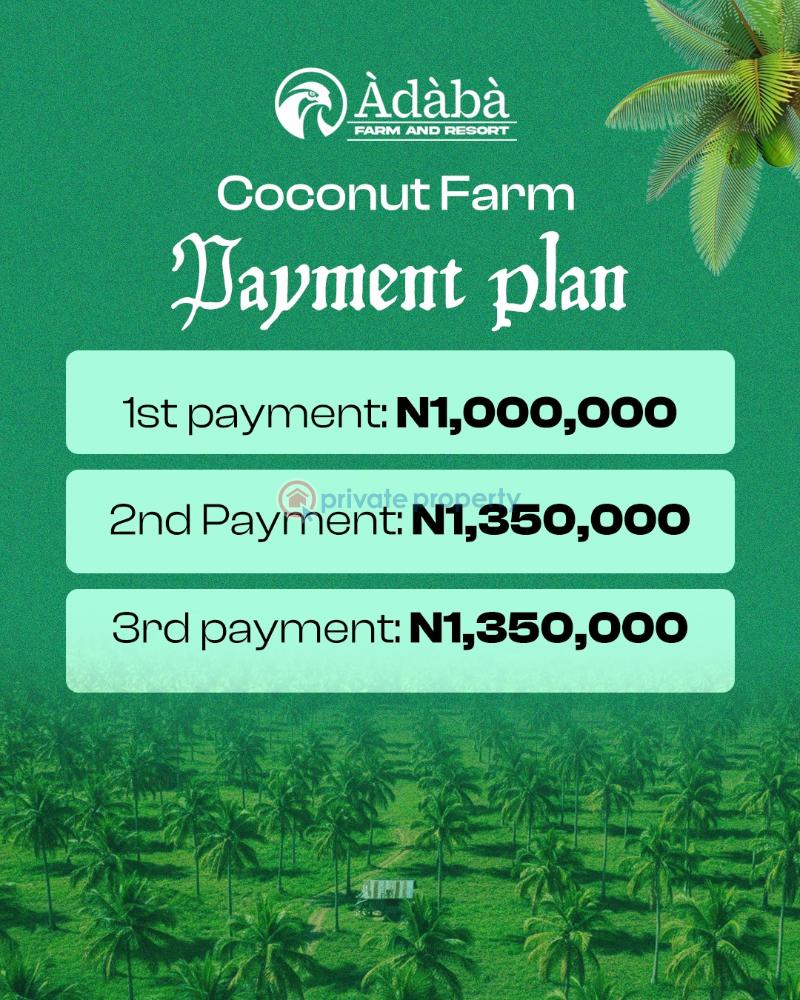 Residential Land For Sale Àdàbà Coconut Farm & Resort, Located In Owode, Obafemi Owode Ogun - 1