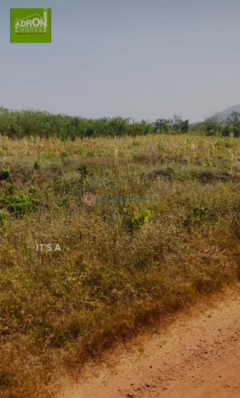 Residential Land For Sale Olong Ikere Ajilosu / After Ajayi Polytechnic / By Federal Road Safety Corps Ado Ekiti Ado-Ekiti  - 5