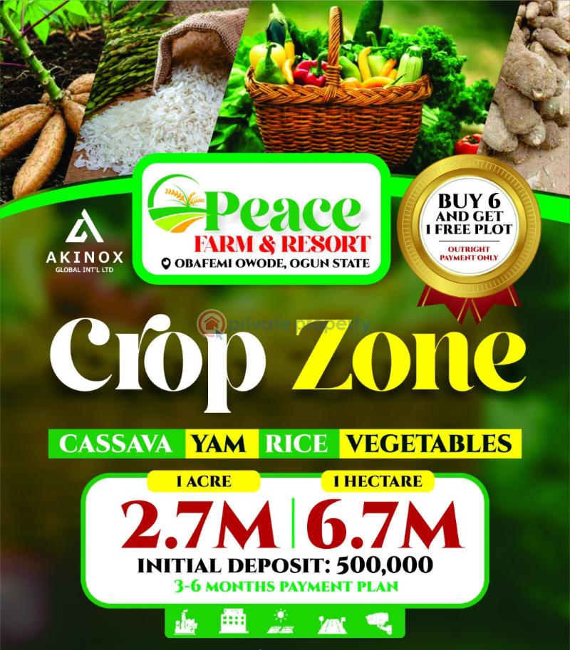 Commercial Land For Sale Peace Farm And Resort Where Agribusiness Becomes Effortless In Ajebo Obafemi Owode Ogun