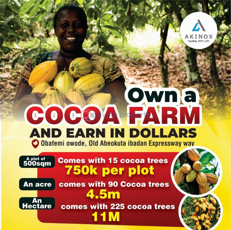 Mixed use Land For Sale Cocoa Farm Village With Cocoa Trees And No Hidden Charges, Obafemi Owode Ogun