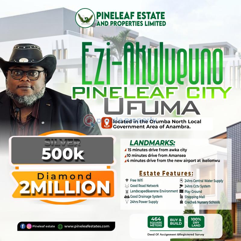 Residential Land For Sale Ezi Akuluno Pineapple Leaf City. Orumba North Anambra