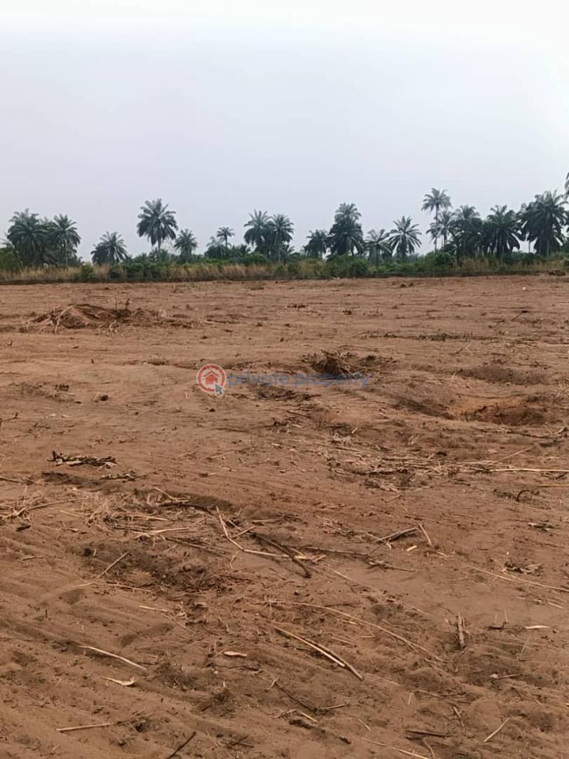 Residential Land For Sale Land View City Alpha Mbato Off Opobo Alumni Expressway Obingwa Abia State Ngwa Abia - 9