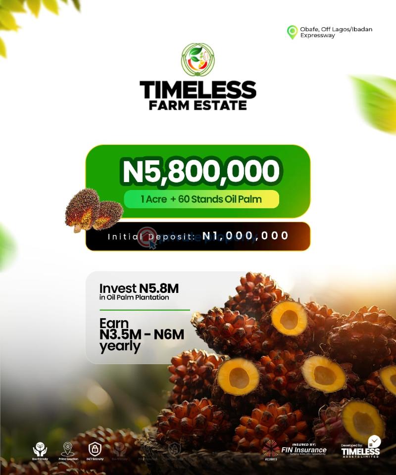 Land For Sale Timeless Farm Land, Obafemi, Off Lagos/ibadan Expressway. Obafemi Owode Ogun - 9