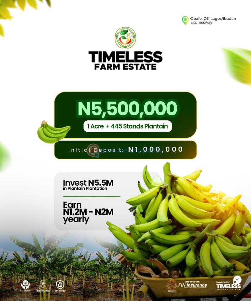 Land For Sale Timeless Farm Land, Obafemi, Off Lagos/ibadan Expressway. Obafemi Owode Ogun - 10