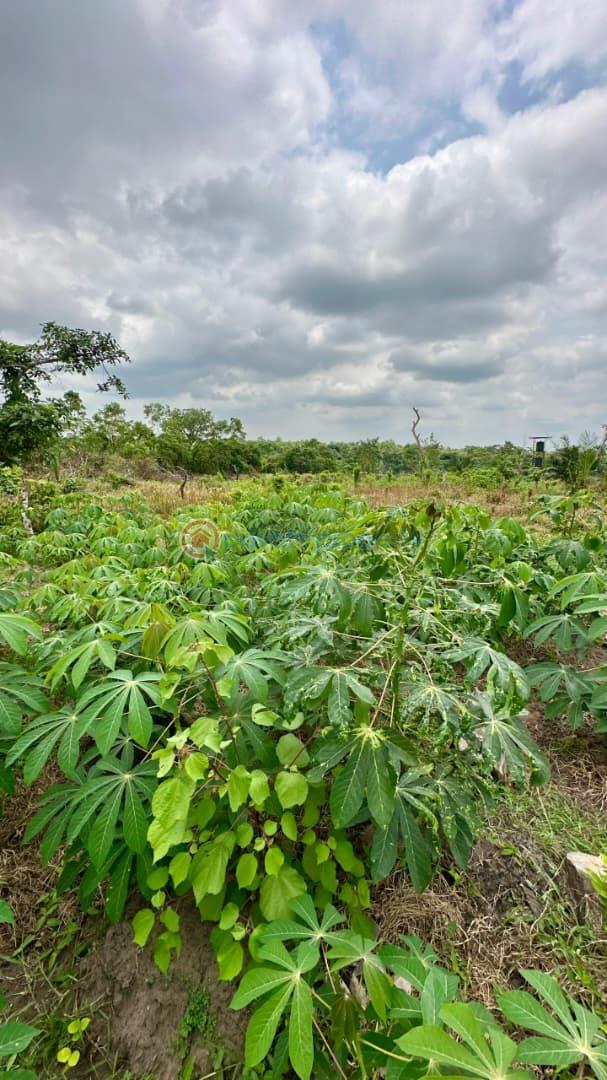 Commercial Land For Sale Alabata Abeokuta Ogun - 11