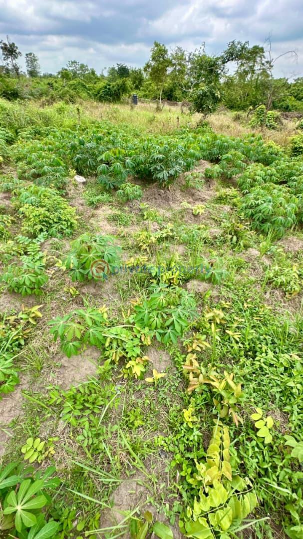 Commercial Land For Sale Alabata Abeokuta Ogun - 12