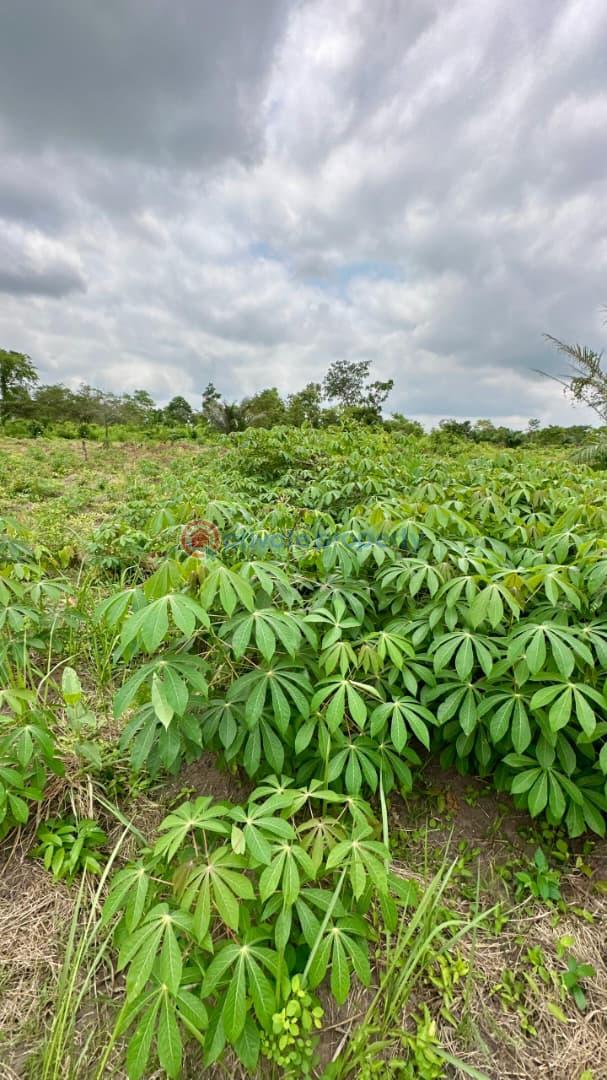 Commercial Land For Sale Alabata Abeokuta Ogun - 6