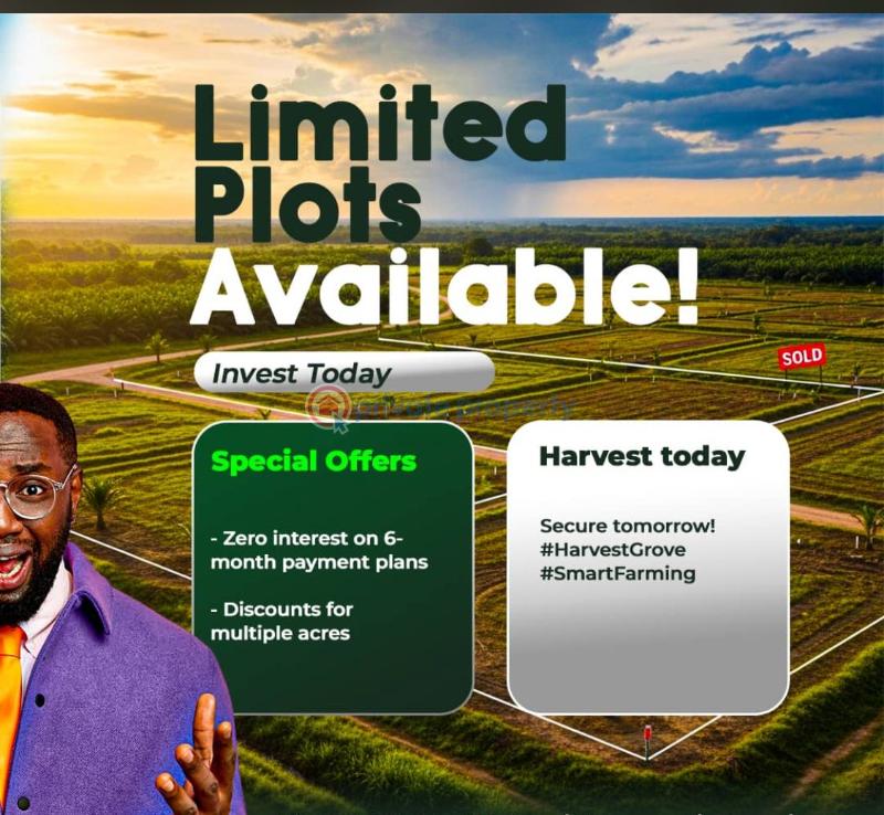 Commercial Land For Sale Havest Groove, Ayepe, Odogbolu Lga, Ogun State, Immediately After Epe Toll Gate. Ogun area  - 0