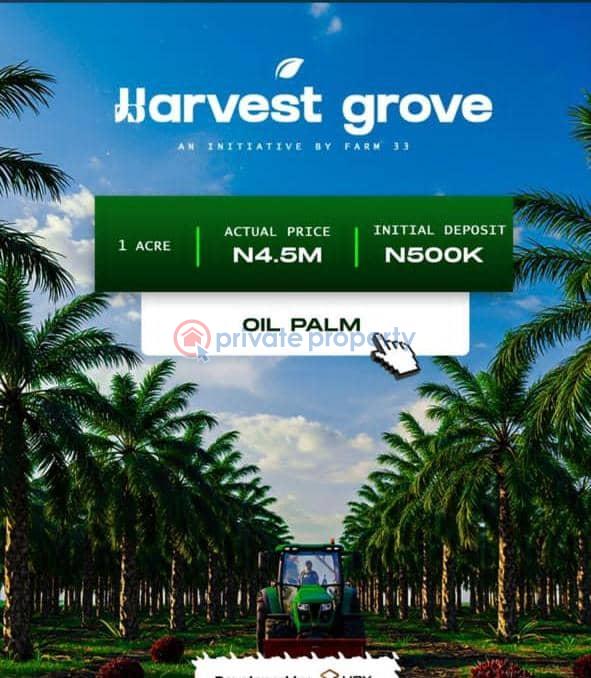 Commercial Land For Sale Havest Groove, Ayepe, Odogbolu Lga, Ogun State, Immediately After Epe Toll Gate. Ogun area  - 2