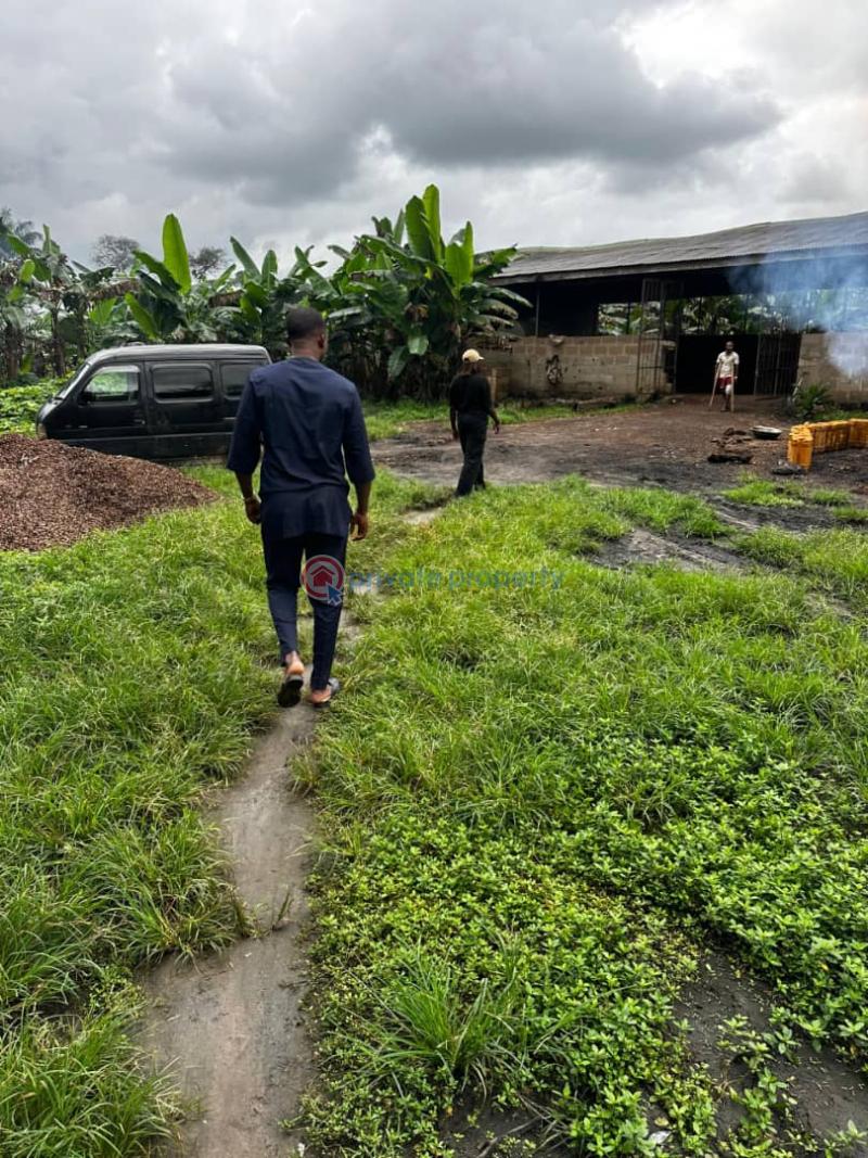 Commercial Land For Sale Havest Groove, Ayepe, Odogbolu Lga, Ogun State, Immediately After Epe Toll Gate. Ogun area  - 3