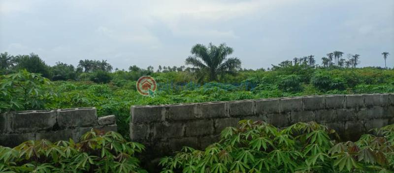 Industrial Land For Sale Eleko Ibeju-Lekki Lagos