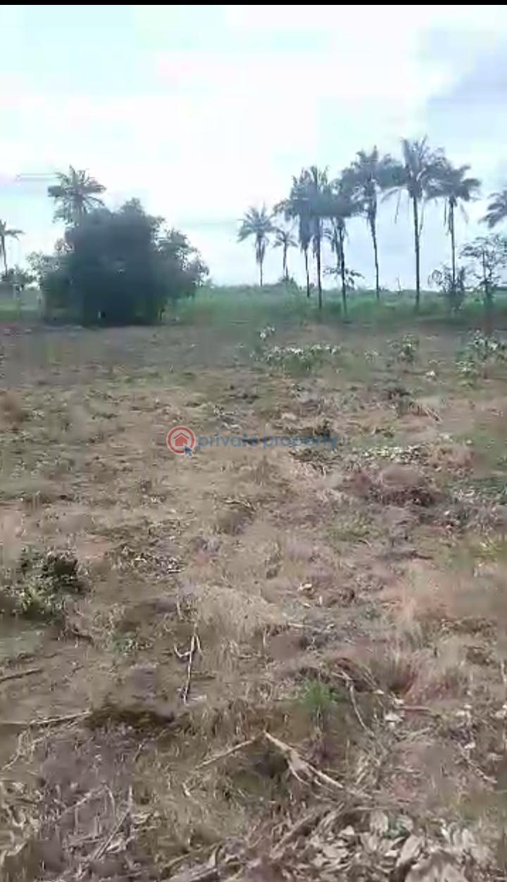 Mixed use Land For Sale Obomkpa, Iselle Uku, Asaba, Asaba Delta - 0