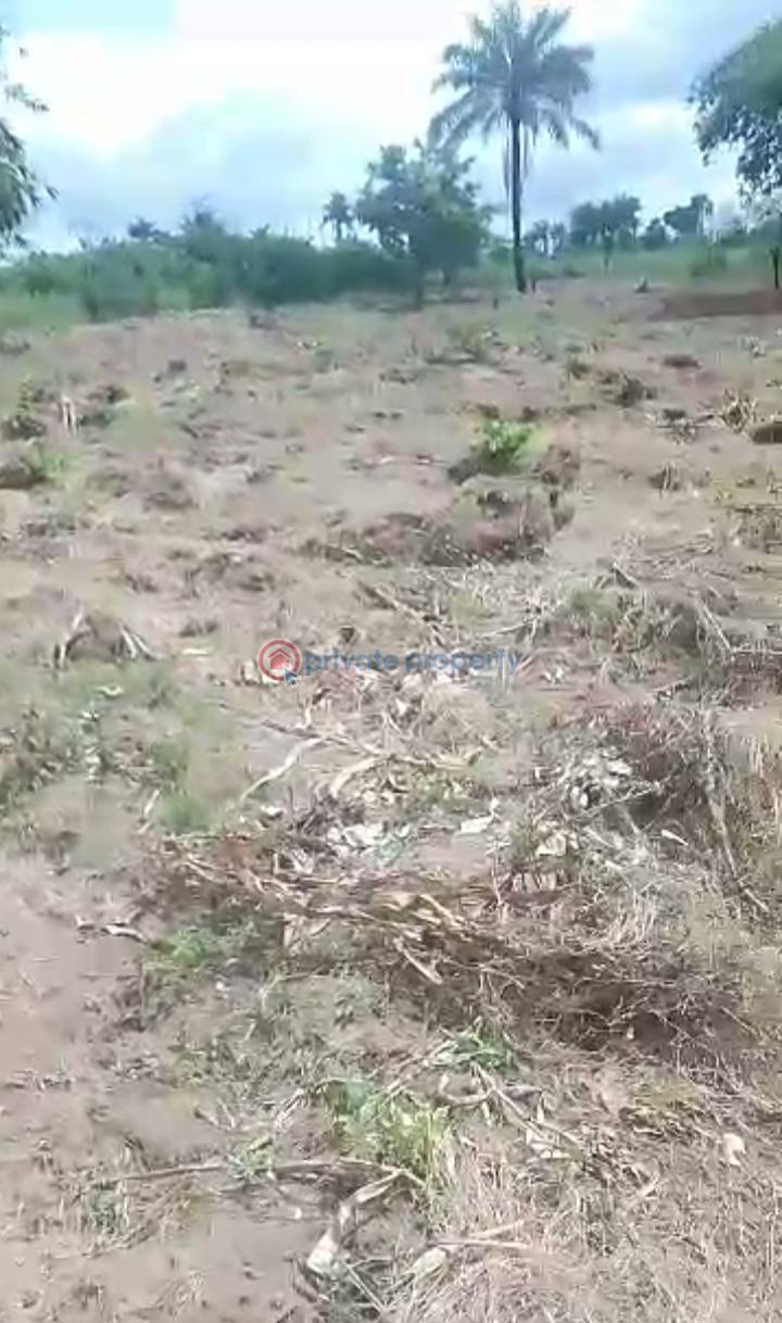 Mixed use Land For Sale Obomkpa, Iselle Uku, Asaba, Asaba Delta - 3