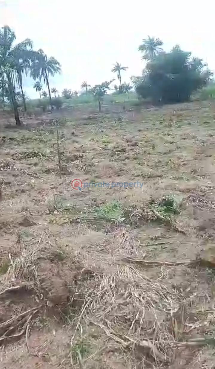 Mixed use Land For Sale Obomkpa, Iselle Uku, Asaba, Asaba Delta - 1