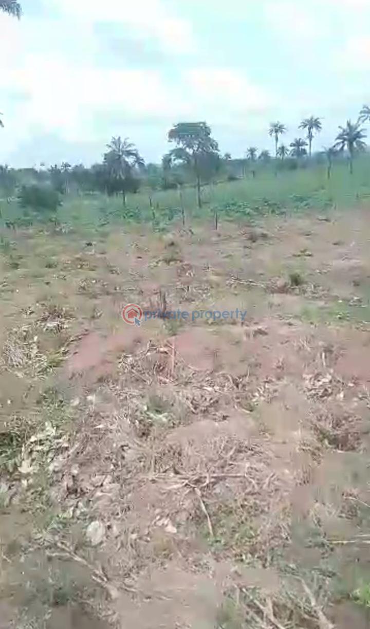 Mixed use Land For Sale Obomkpa, Iselle Uku, Asaba, Asaba Delta - 2