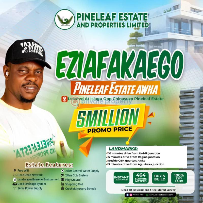 Mixed use Land For Sale Isiagu Town Opp Chinasuzo Pineleaf Estate Awka South Anambra - 0