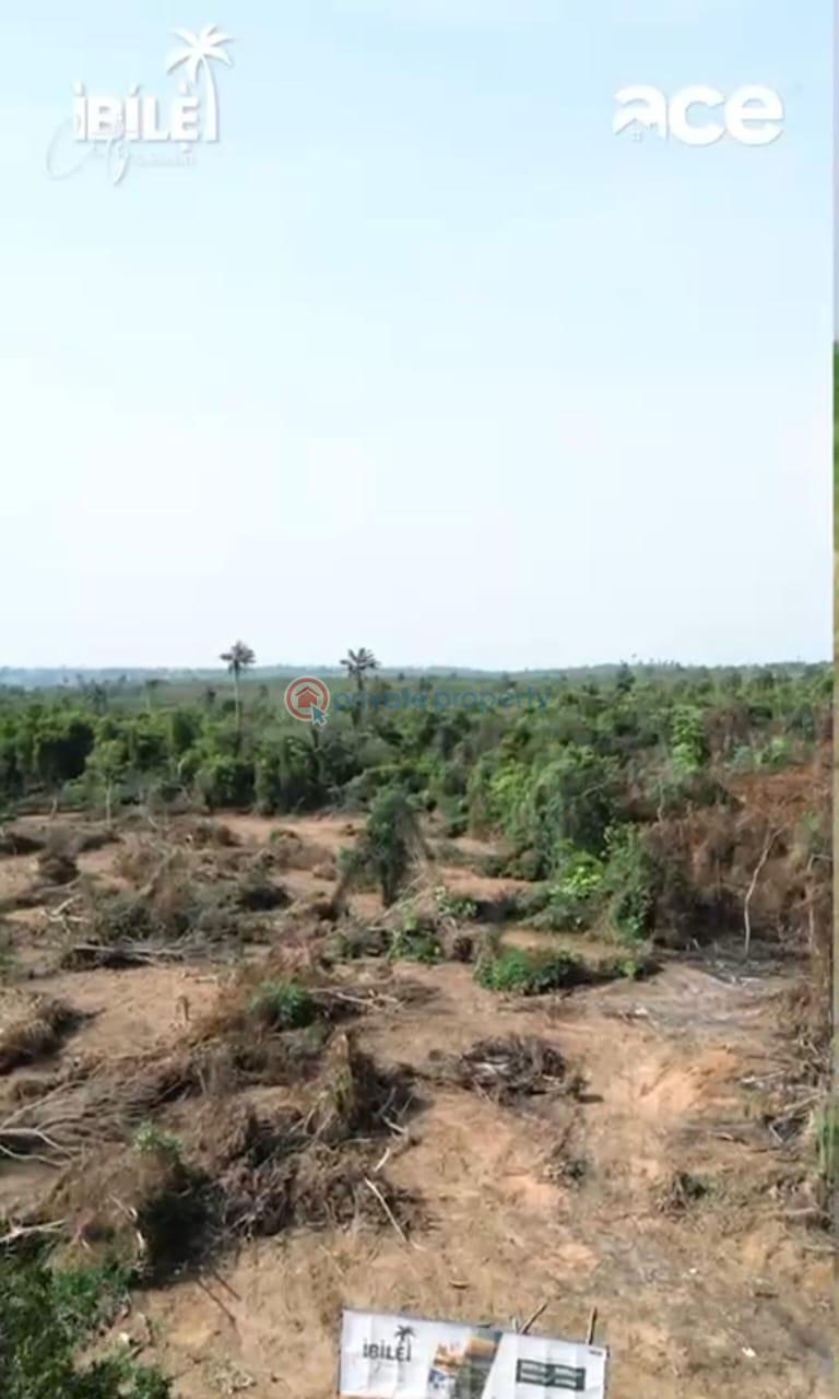 Residential Land For Sale Imota Ikorodu. Ikorodu Lagos - 10