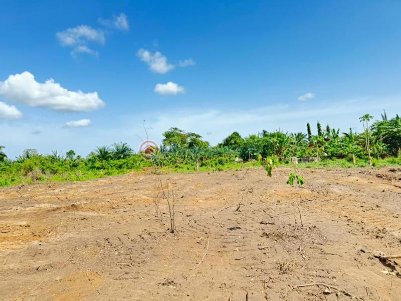 Affordable land in epe Mixed use Land For Sale Gold Estate With Perimeter Fencing Iloti Epe Lagos