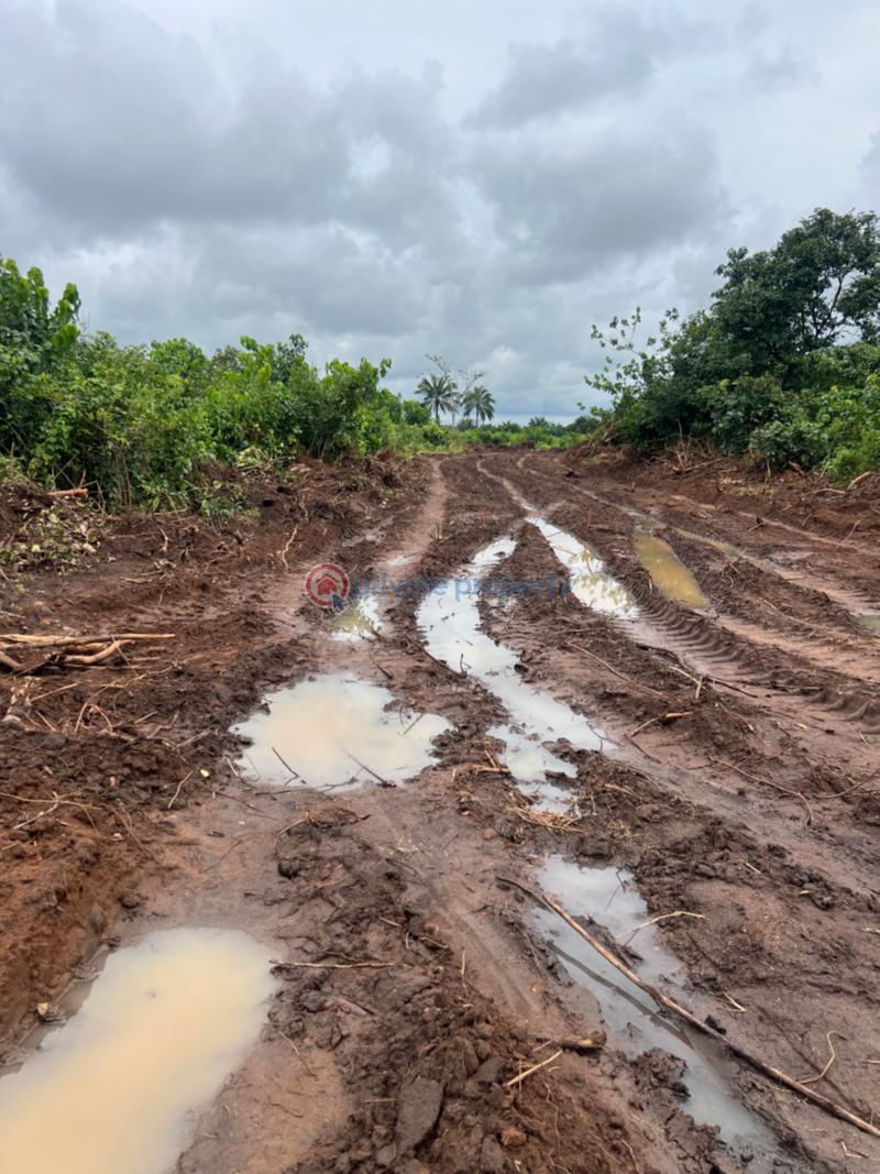 Mixed use Land For Sale Behind Amafor Market Ohaji/Egbema Imo - 0