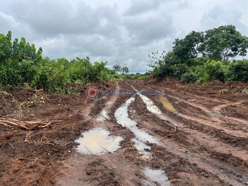 Mixed use Land For Sale Behind Amafor Market Ohaji/Egbema Imo - 2
