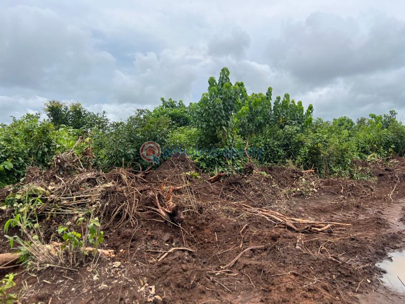Mixed use Land For Sale Behind Amafor Market Ohaji/Egbema Imo - 1