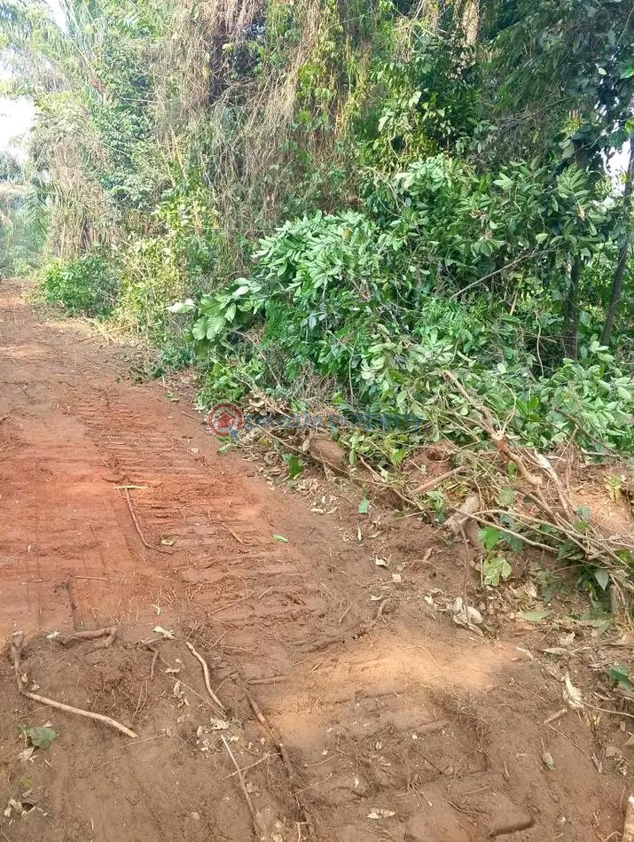 Residential Land For Sale Ibusa. Asaba Delta - 1