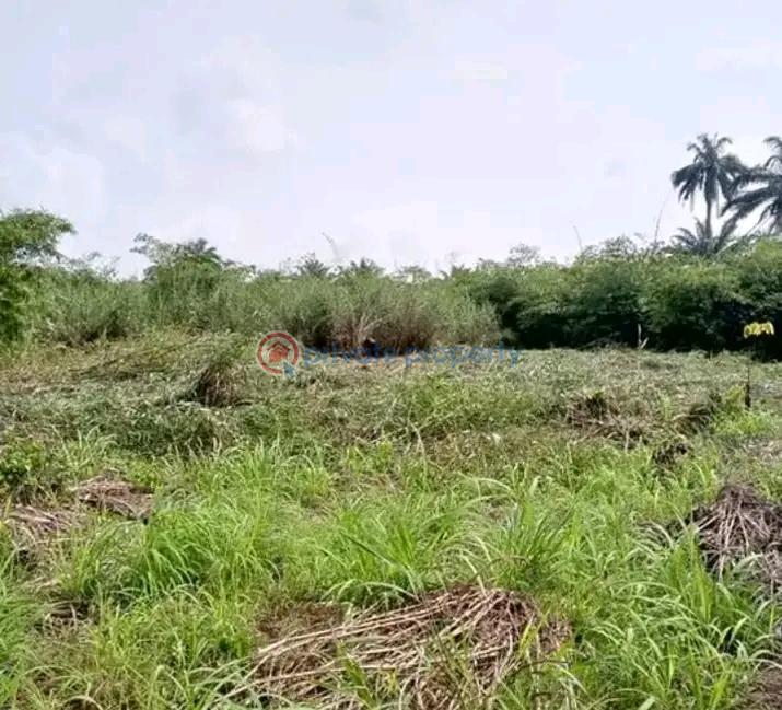 Residential Land For Sale Ibusa. Asaba Delta - 2