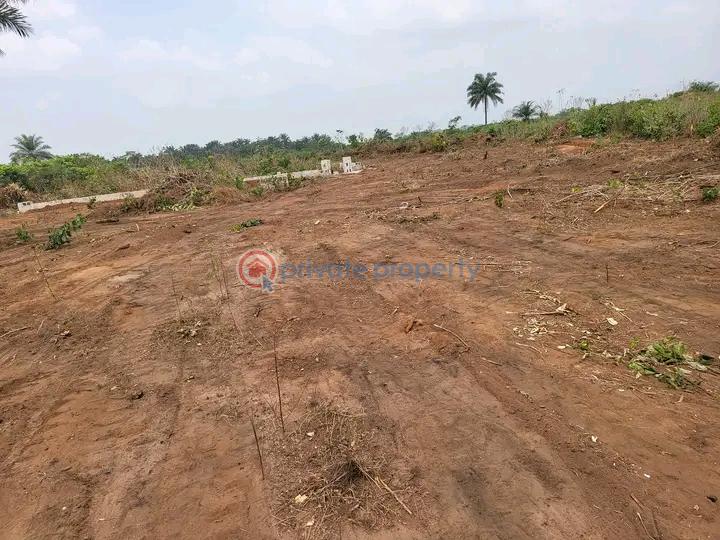 Mixed use Land For Sale Avu Community, Owerri West Owerri Imo - 1