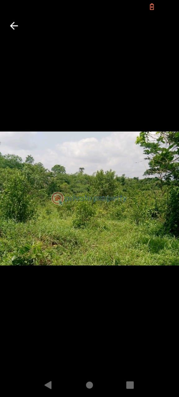 Residential Land For Sale Epe Lagos